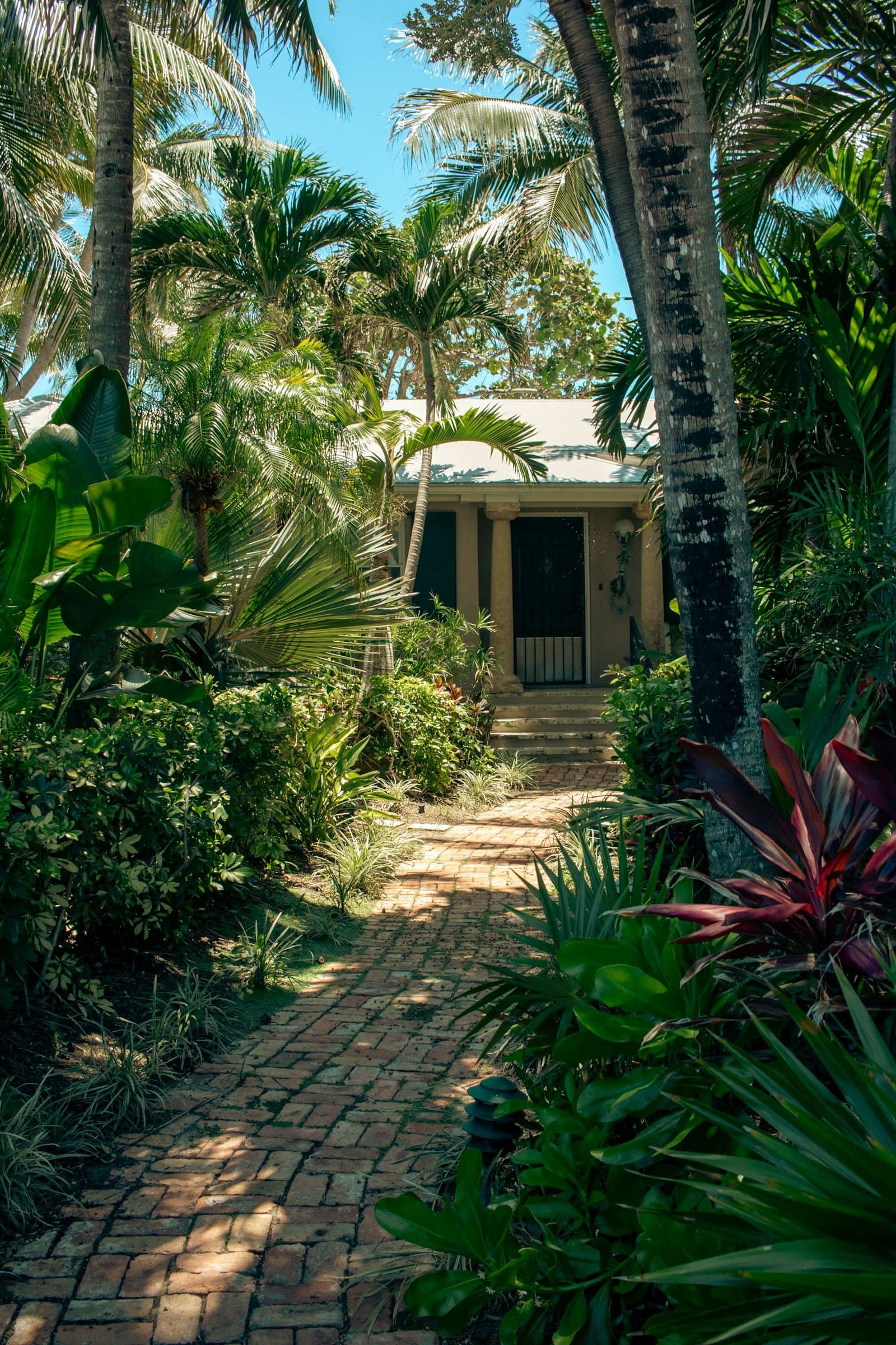 A lush tropical garden path lined with palms in Key West, Florida